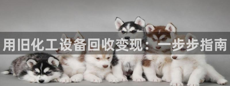 新宝gg登录不了是什么原因