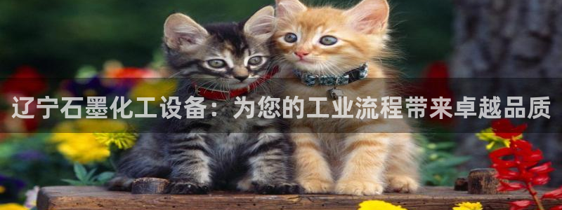 新宝gg创造奇迹怎么登录不上去