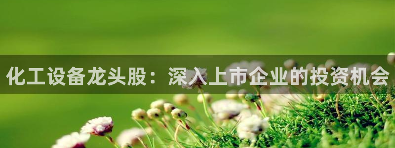 新宝gg账号首页