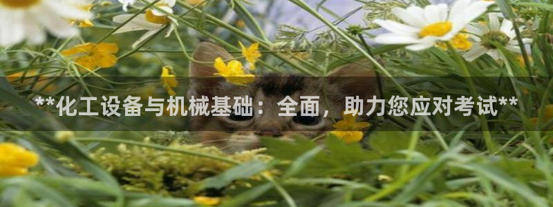 新宝gg—创造奇迹登录官网