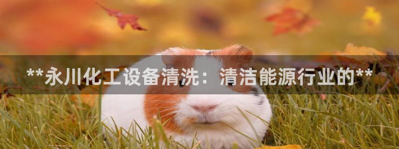 新宝gg–创造奇迹