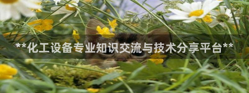 新宝GG平台注册开户