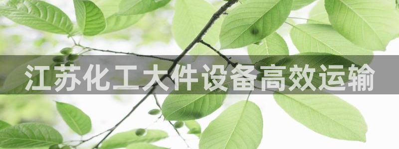 新宝gg登录不上去了