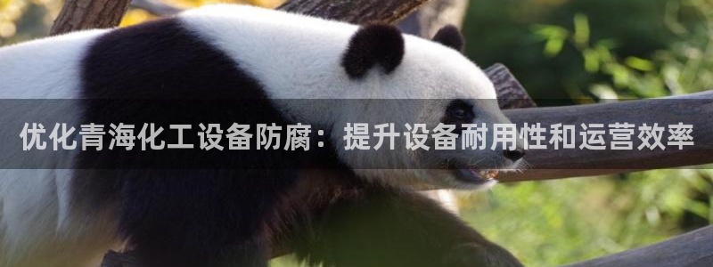 新宝gg一创造奇迹登录