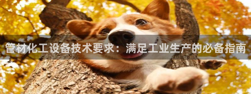 新宝gg—创造奇迹登录