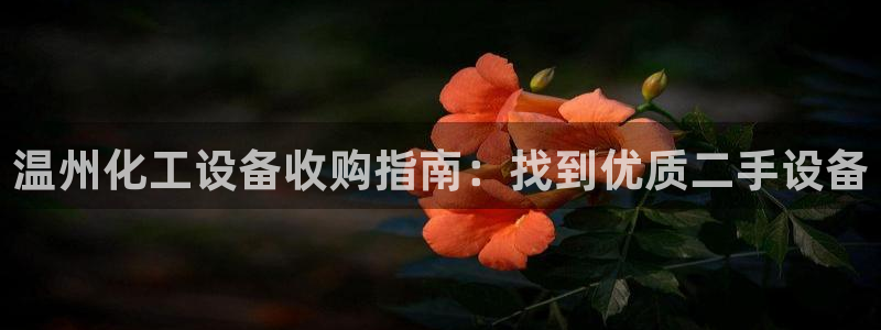 新宝gg登录不上去了