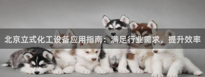 新宝gg创造奇迹登录入口