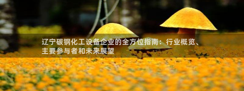 新宝gg一创造奇迹用户登录