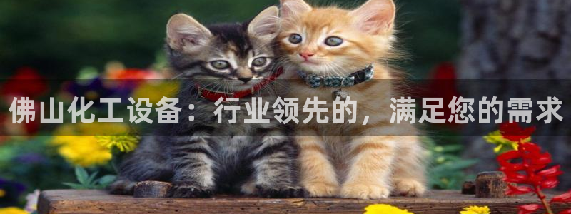 新宝gg创造奇迹登录平台