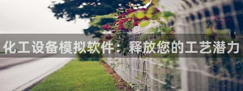 新宝gg平台注册网址