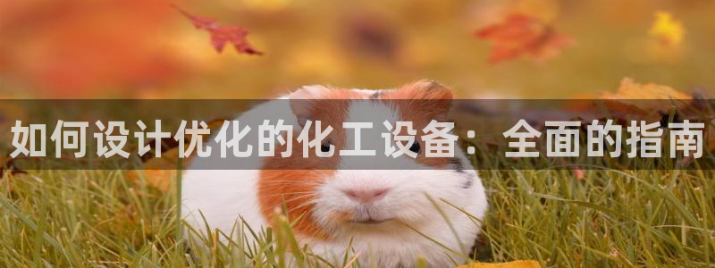 新宝gg一键登录