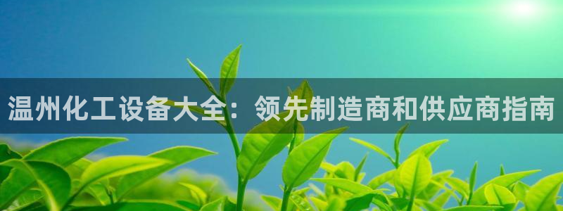 新宝gg创造奇迹平台总代理