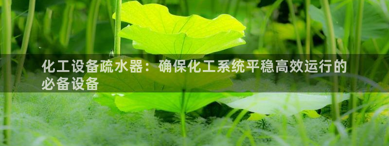 新宝gg一创造奇迹代理