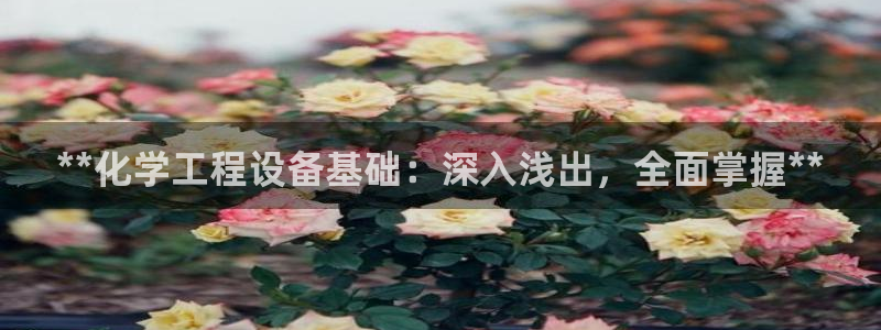 新宝gg创造奇迹官方登录入口