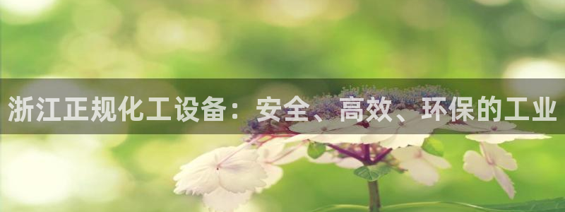 新宝gg提现不到账了?