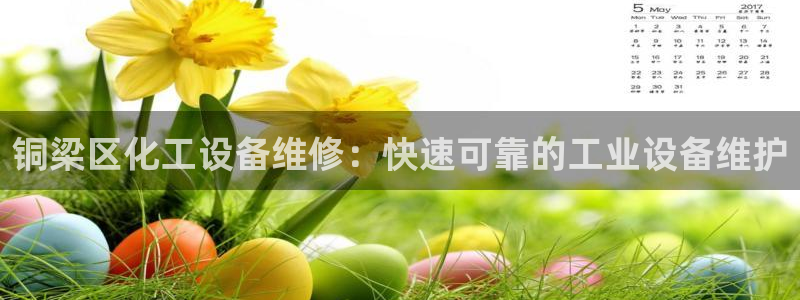 新宝GG平台德711.112如何处理