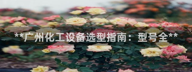 新宝GG平台电话