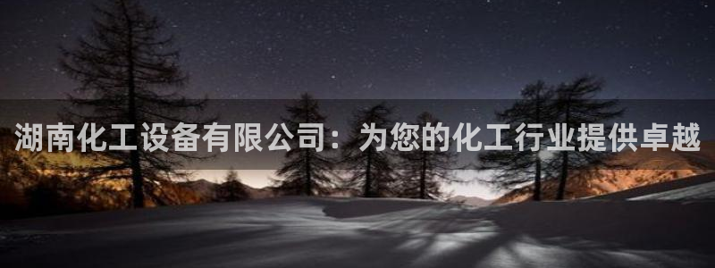 新宝gg平台登录手机版