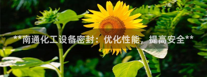 新宝gg 创造奇迹
