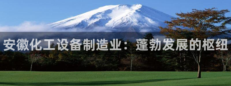 新宝gg官网客户端下载