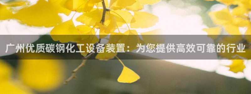 新宝gg奇迹登录怎么登录不了
