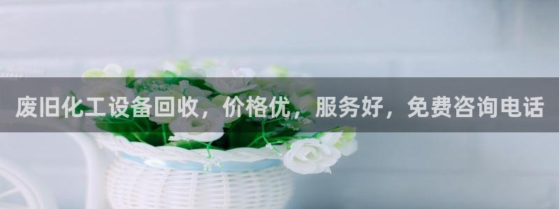 新宝gg创造奇迹在线登录