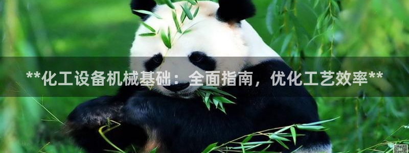 新宝gg账号首页