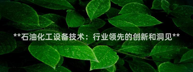新宝gg一创造奇迹用户登录