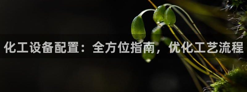 新宝gg一注册