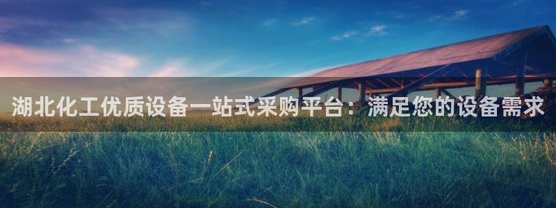 新宝gg提现不到账了?：湖北化工优质设备一站式采购