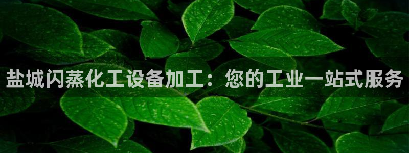 新宝gg平台―创造奇迹登录：盐城闪蒸化工设备加工：您的工业一