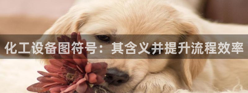 新宝gg一创造奇迹登录龙,虎,和