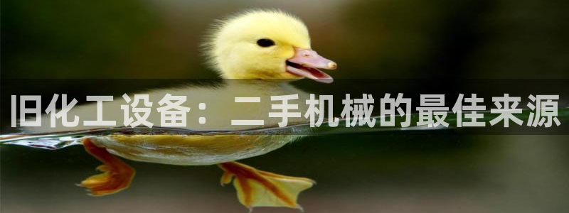 新宝gg创造奇迹在线登录