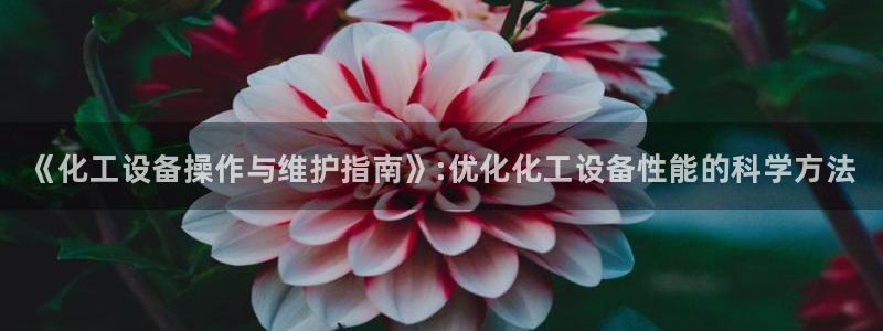 新宝gg官网登录代理