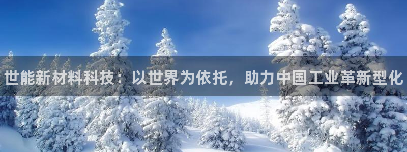 新宝gg平台注册登录指南：世能新材料科技：以世界为依托，助力