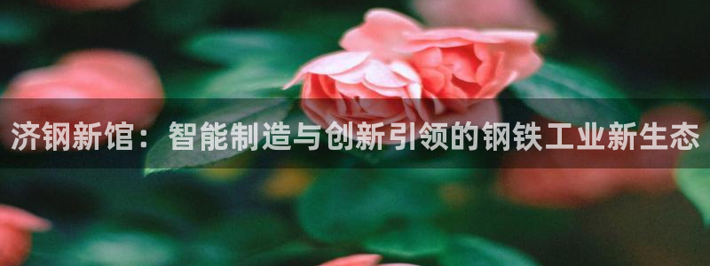 新宝gg登录了还能上吗：济钢新馆：智能制造与创新引领的钢铁工