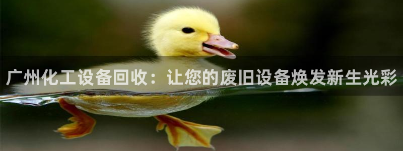 新宝gg一创造奇迹登陆