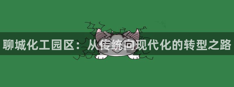 新宝gg是合法的吗：聊城化工园区：从传统向现代化的