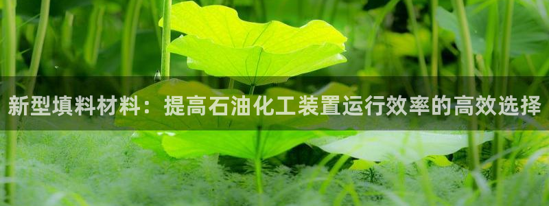 新宝gg平台—创造奇迹登录