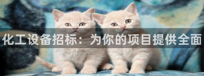 新宝5gg一创造奇迹